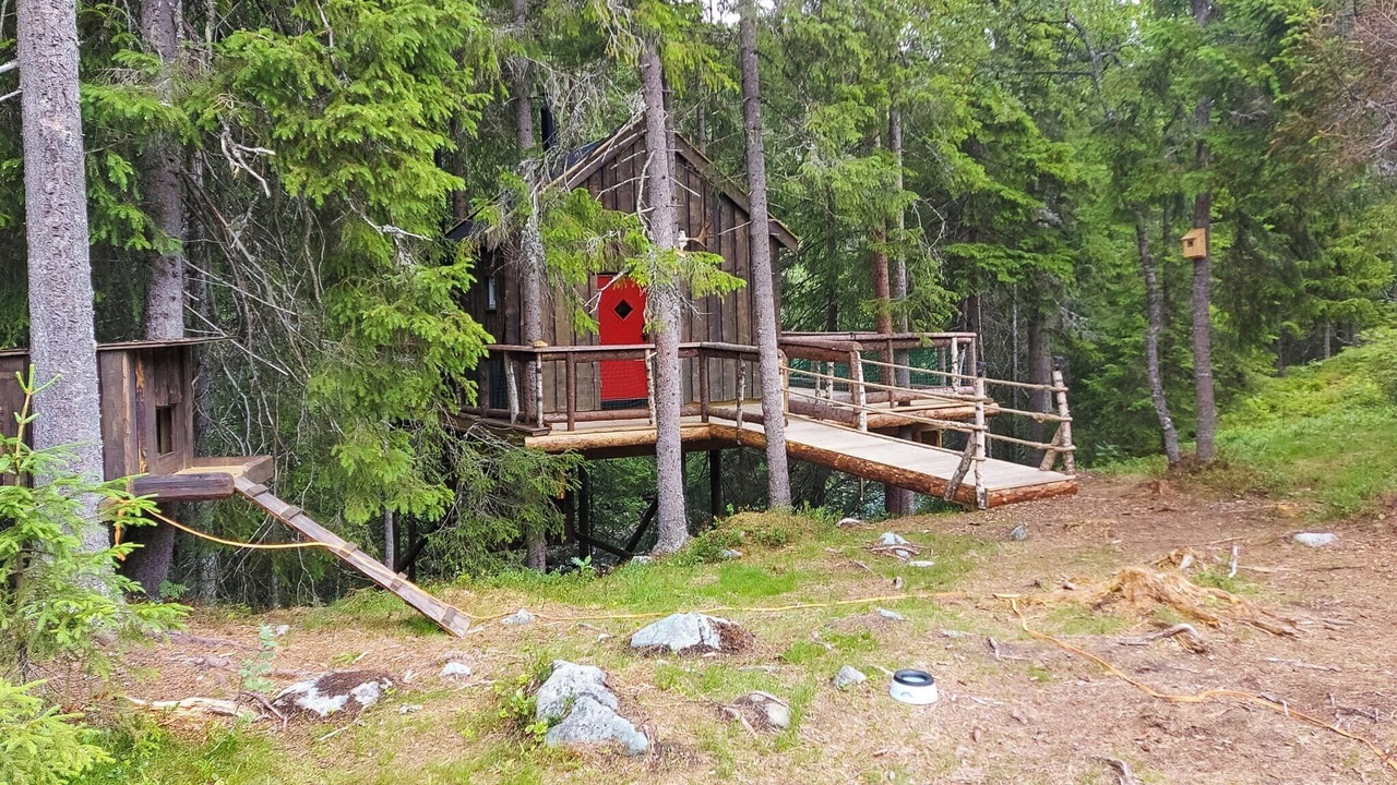 Photo of Outdoor in Tokke