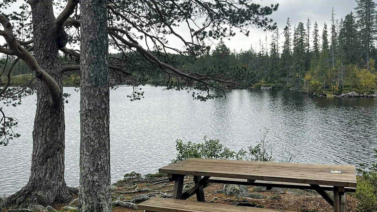 Photo of Outdoor in Hjartdal Municipality