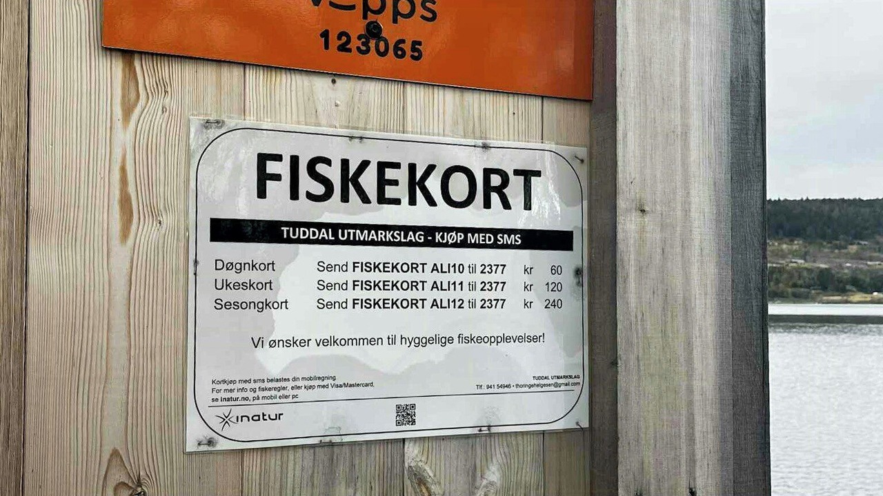 Photo of Others in Hjartdal Municipality