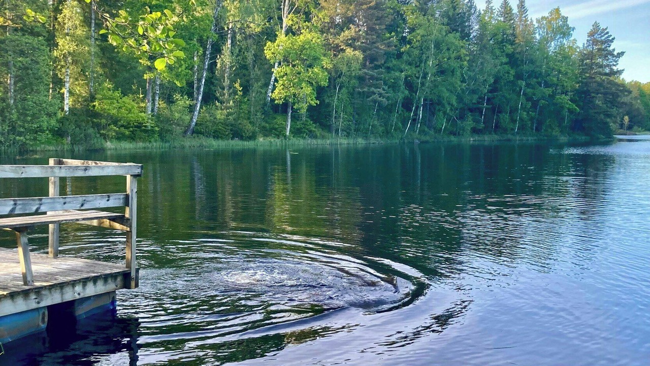 Photo of Others in Simlangsdalen