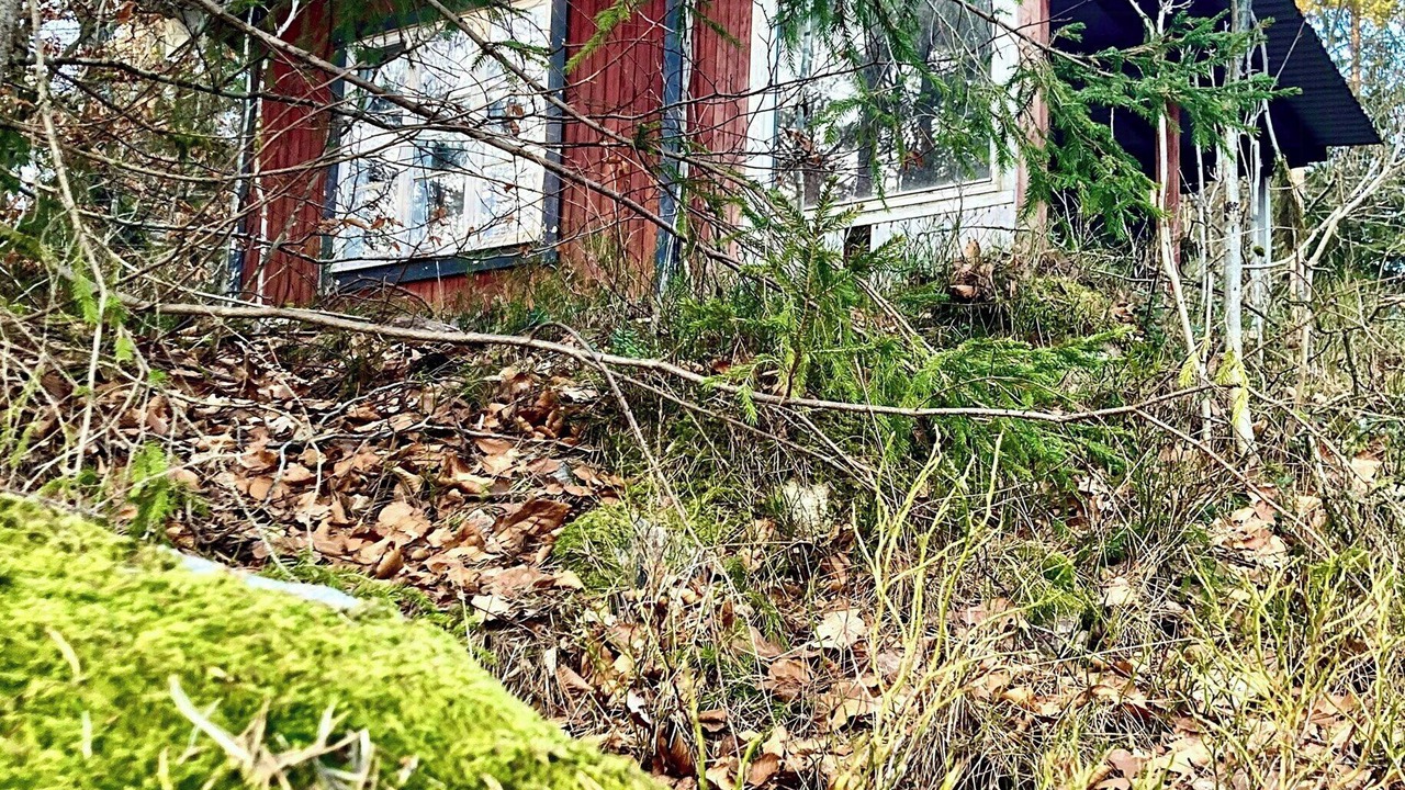 Photo of Outdoor in Simlangsdalen