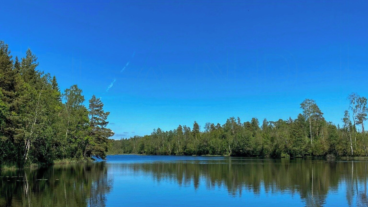Photo of Others in Simlangsdalen