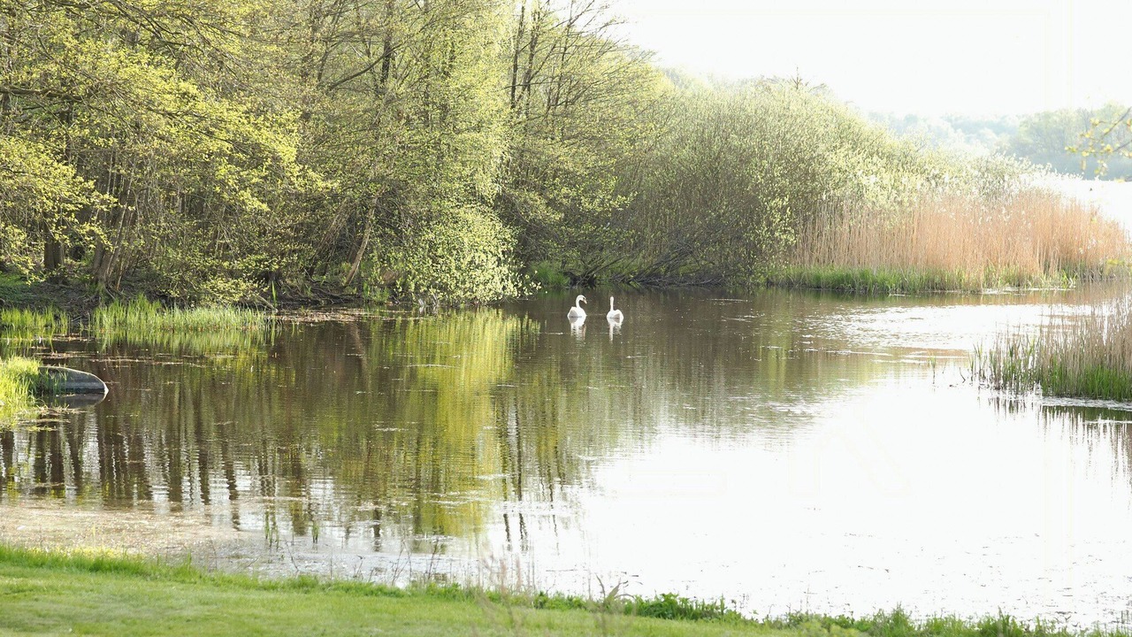 Photo of Others in Genarp