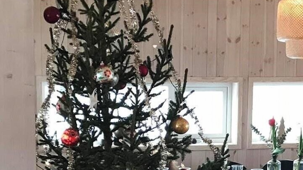 Photo of Others in Sykkylven