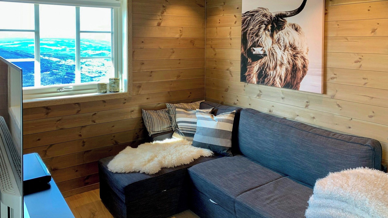 Photo of Livingroom in Nord-Aurdal