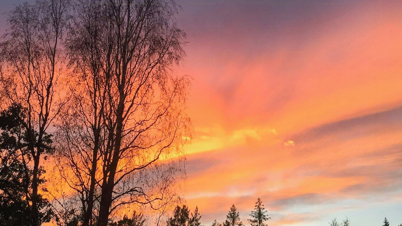 Photo of Others in Nynashamn