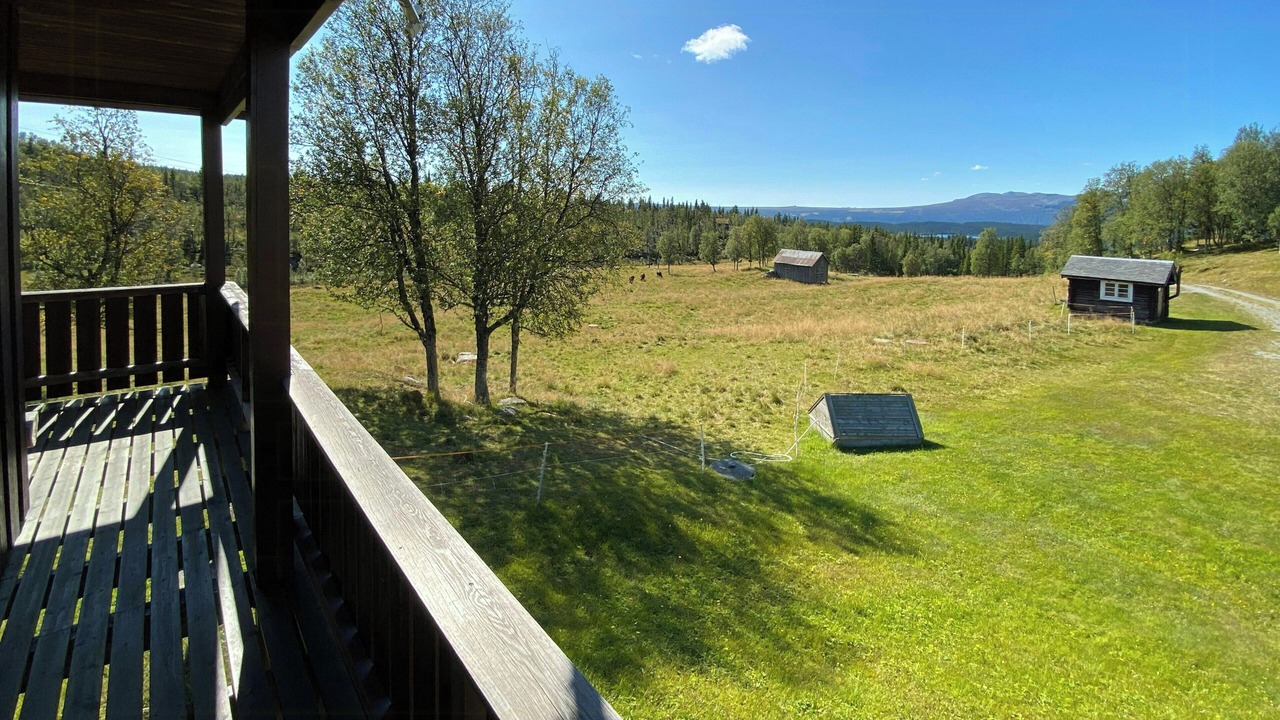 Photo of Outdoor in Gol Municipality
