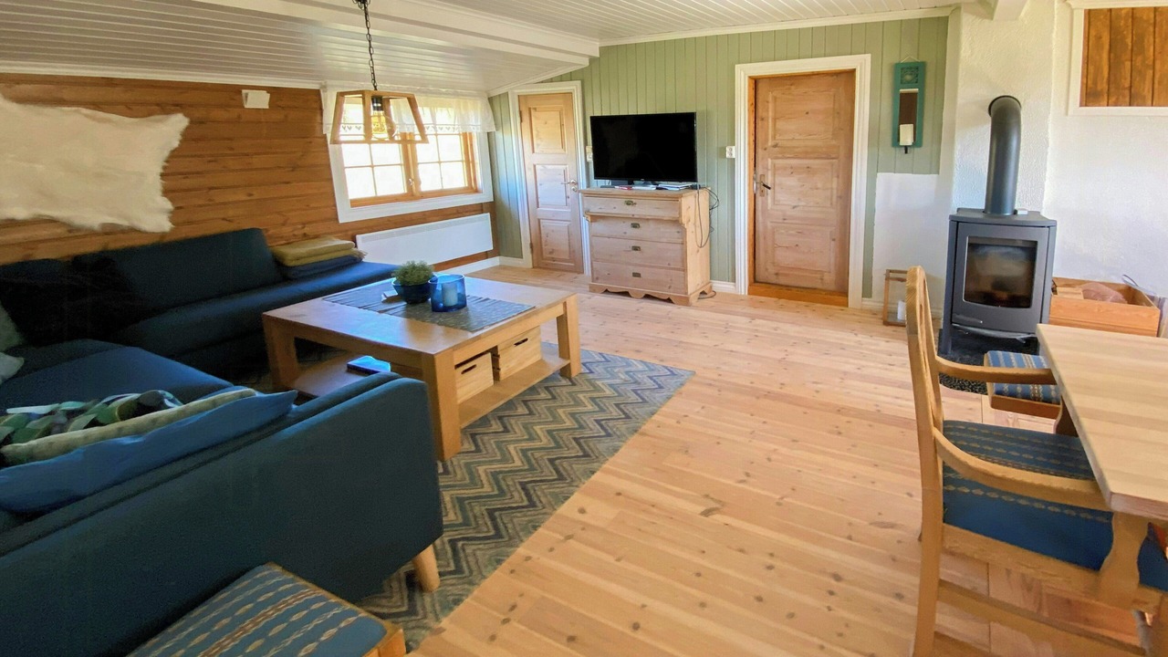 Photo of Livingroom in Gol Municipality