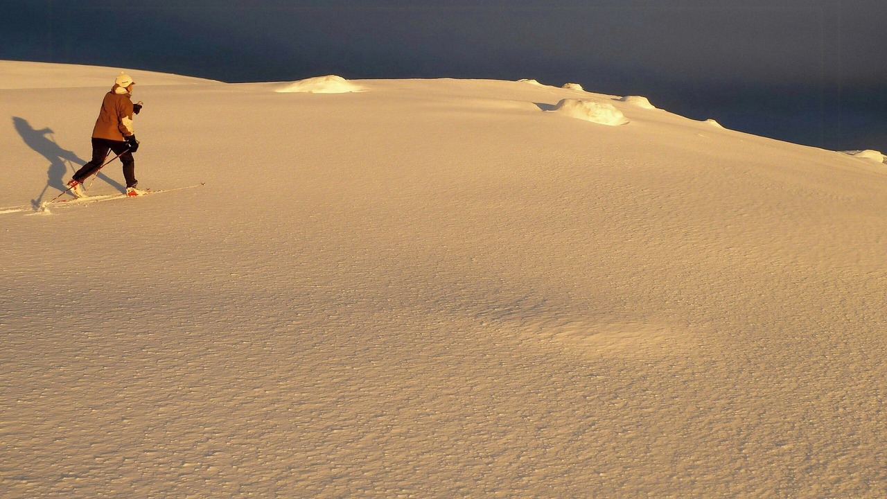 Photo of Others in Vikberget