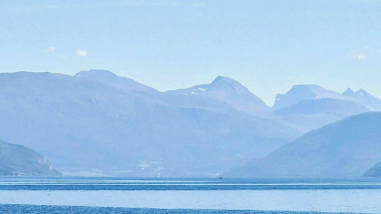 Photo of Others in Torjulvagen