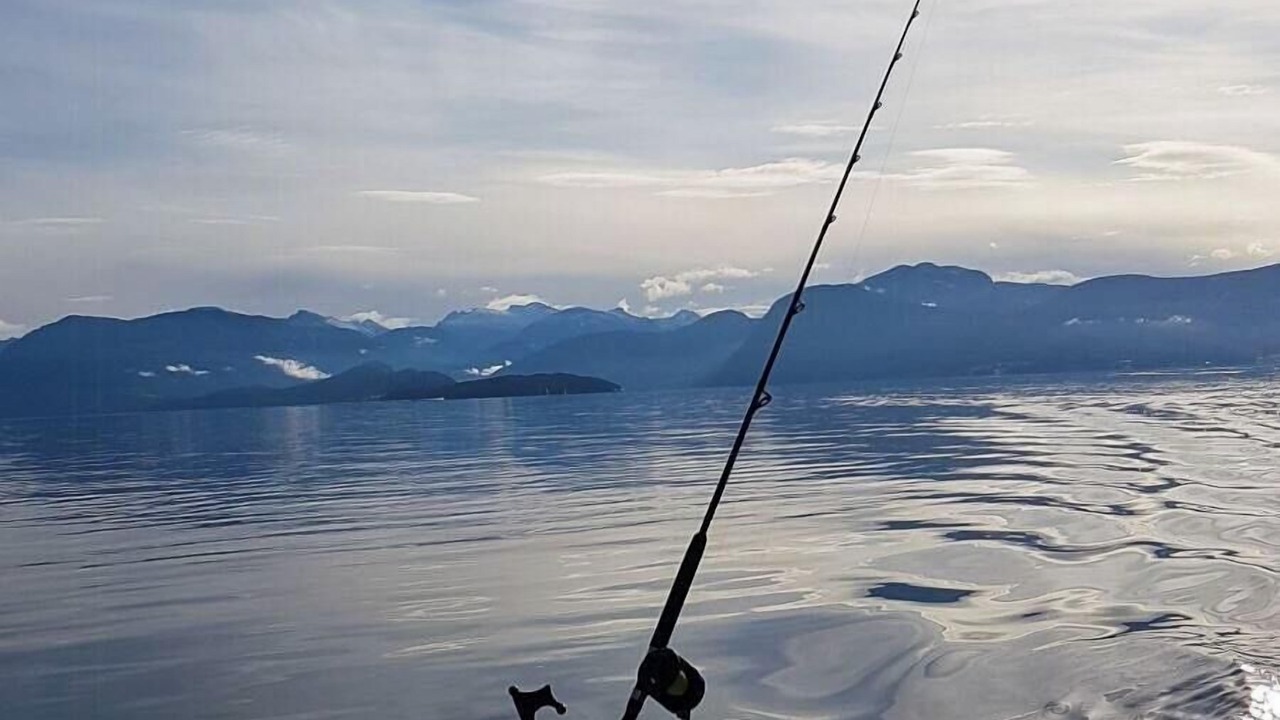 Photo of Others in Torjulvagen