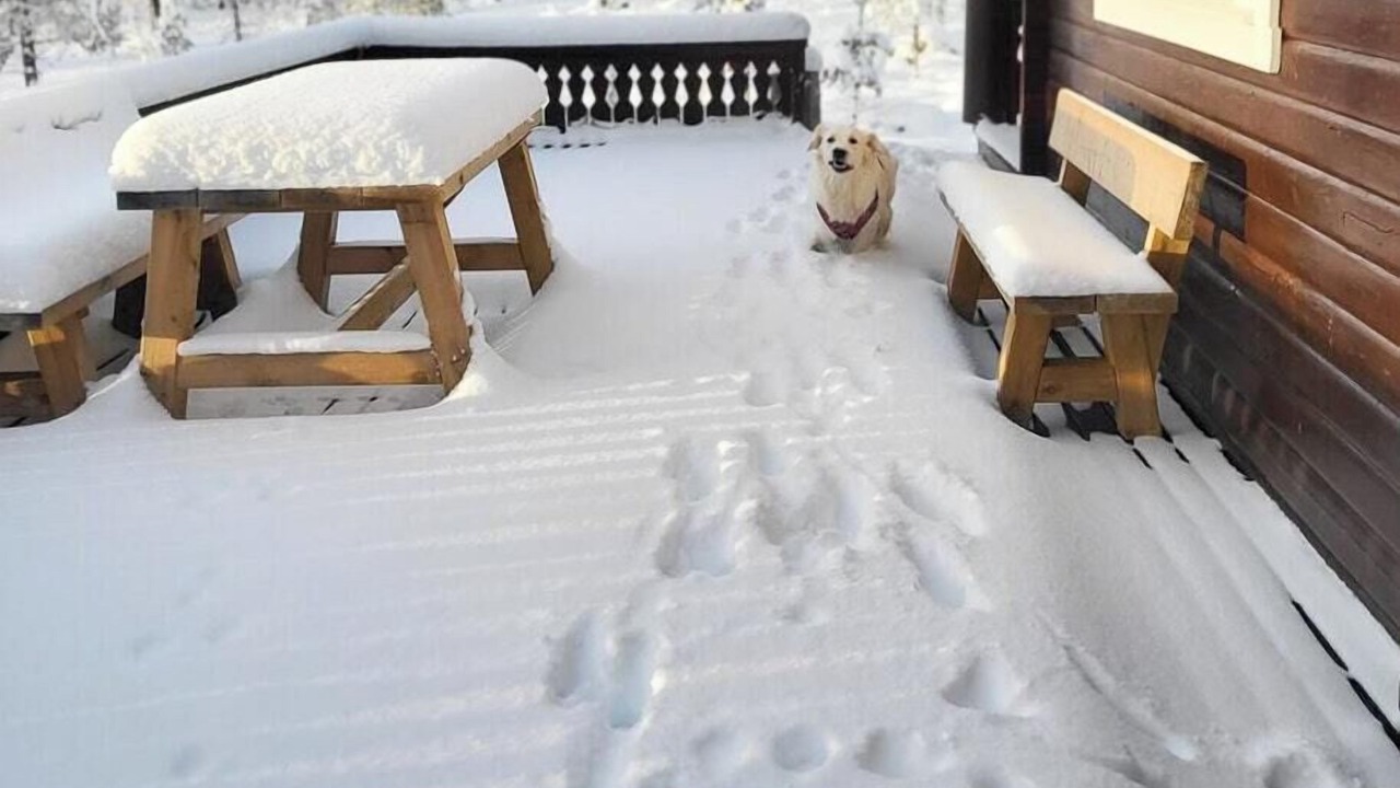 Photo of Outdoor in Trysil