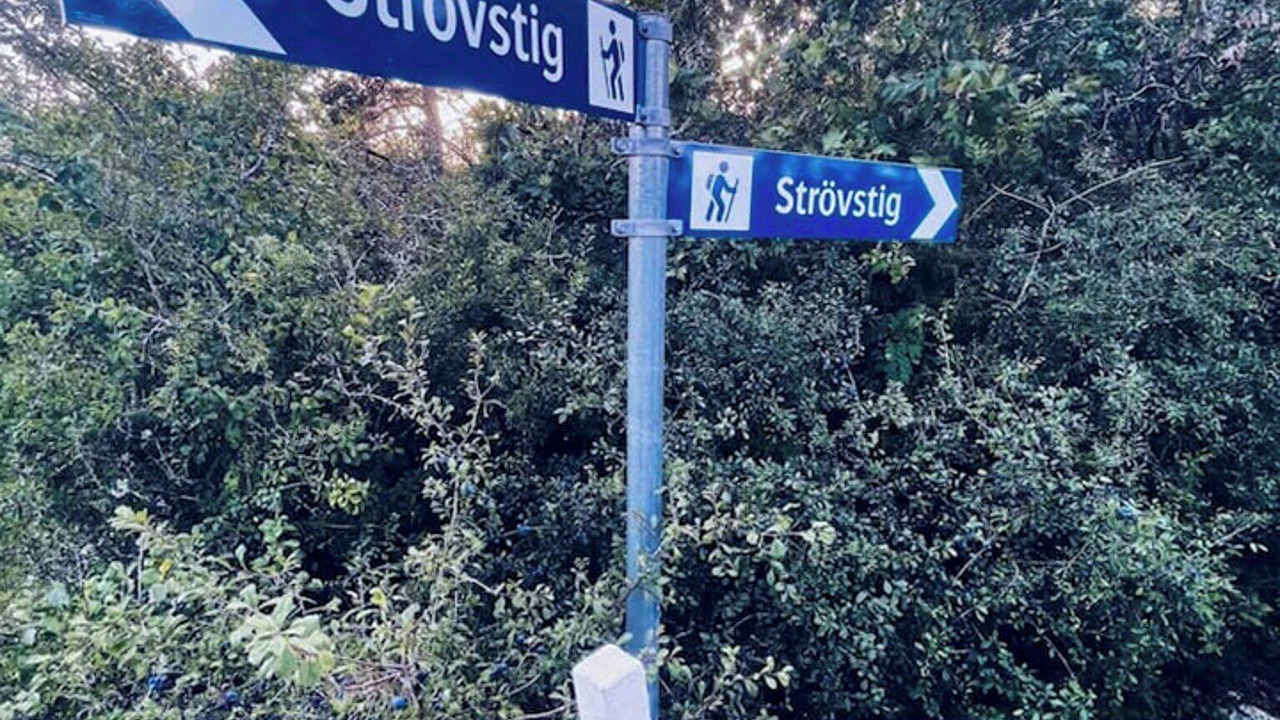 Photo of Others in Sodvik