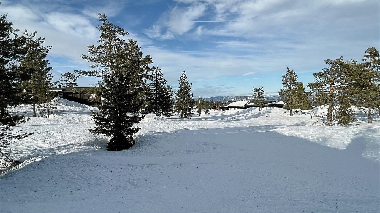 Photo of Others in Flesberg