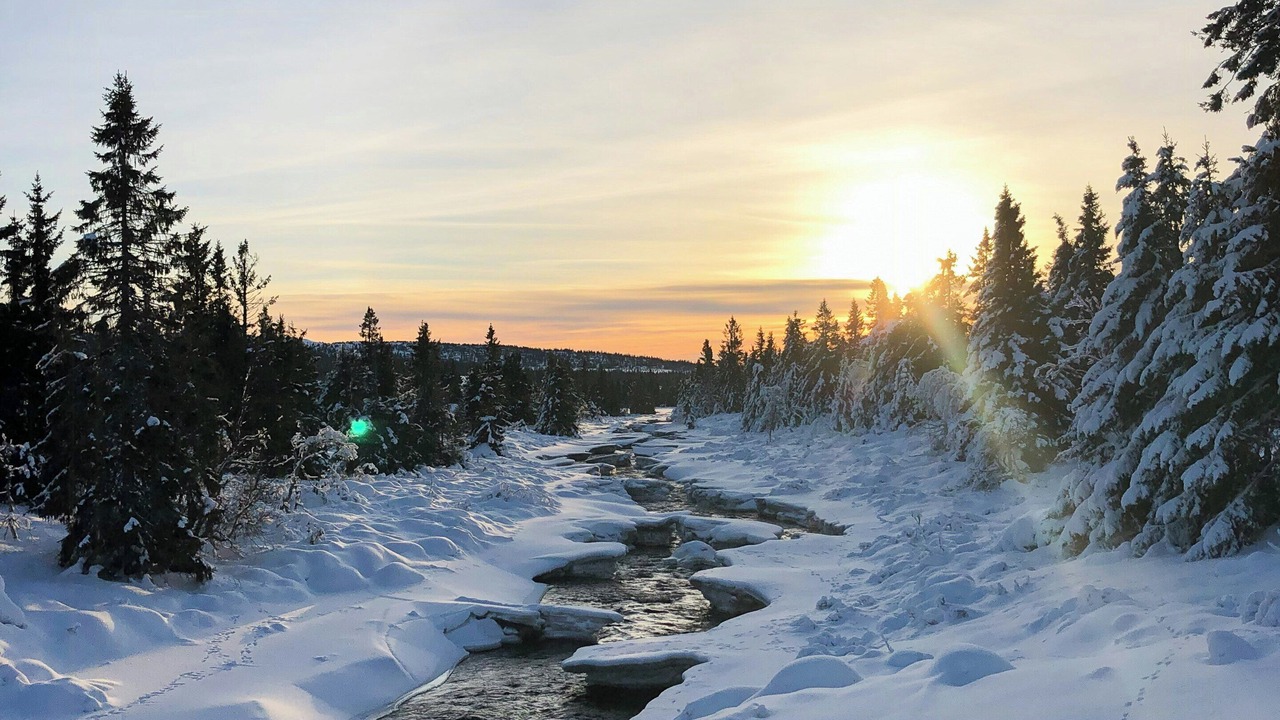 Photo of Others in Sjusjoen