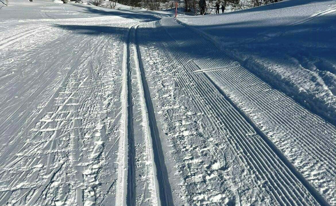 Photo of Others in Valle