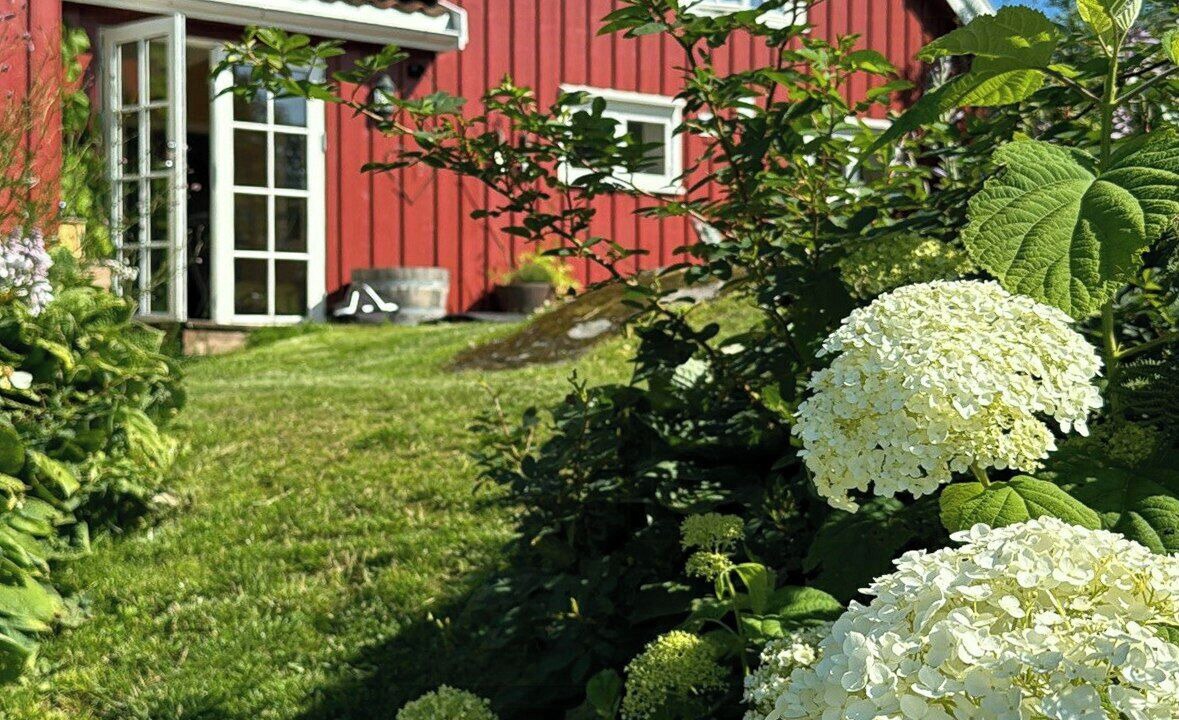 Photo of Outdoor in Arendal