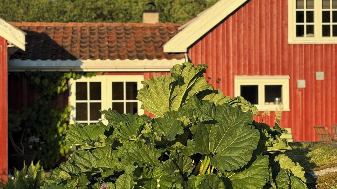 Photo of Outdoor in Arendal