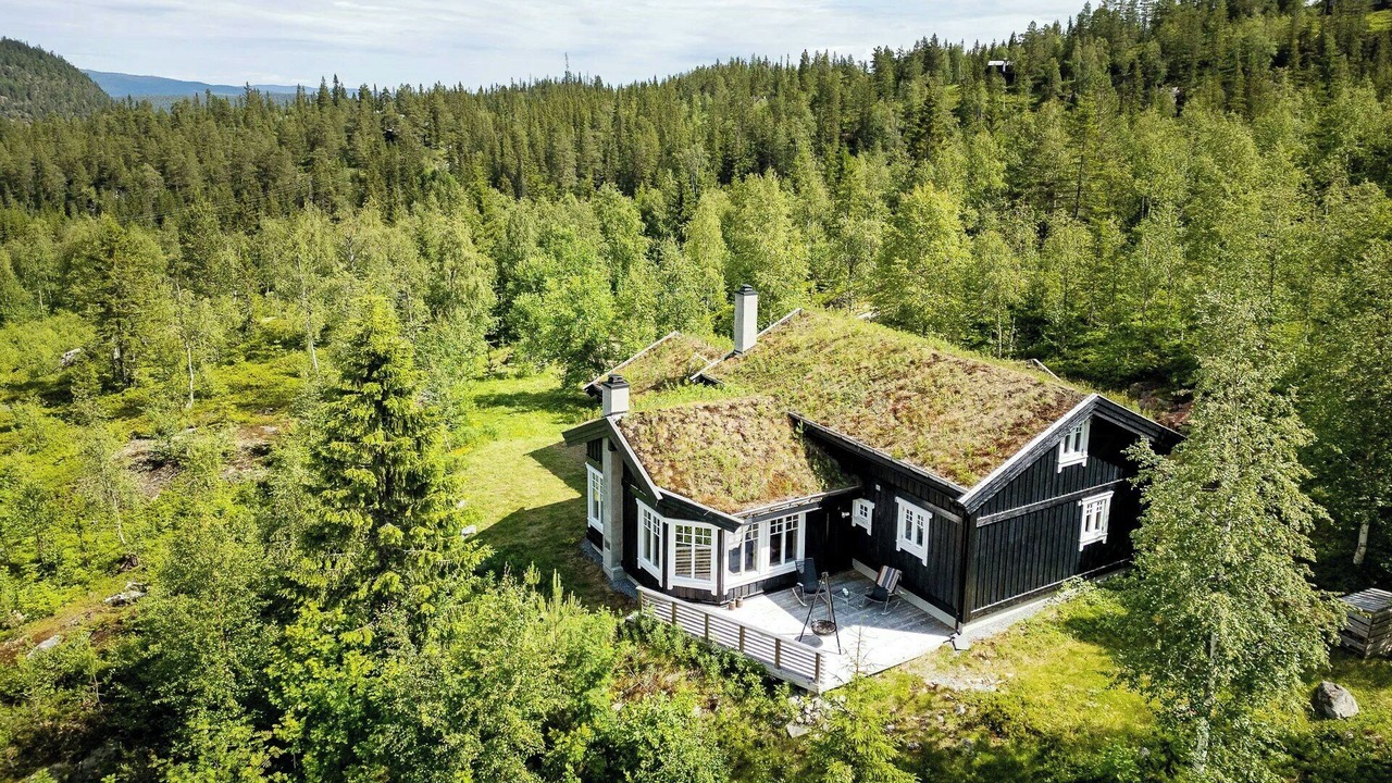 Photo of Outdoor in Ringerike Municipality