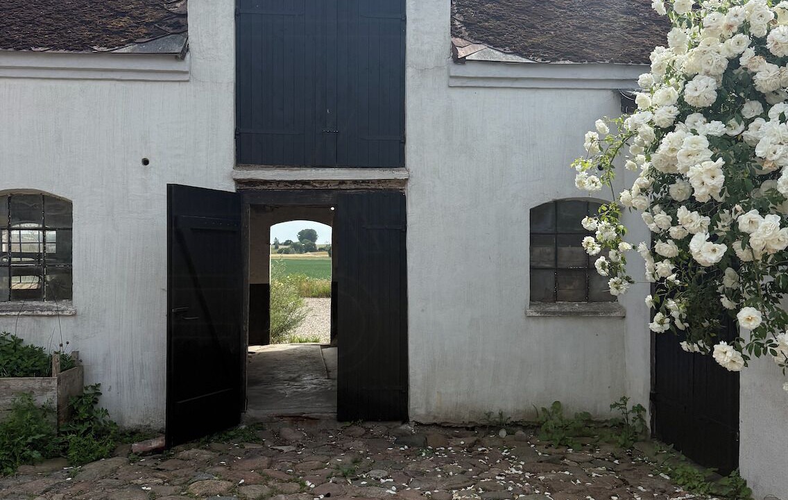 Photo of Outdoor in Loderup