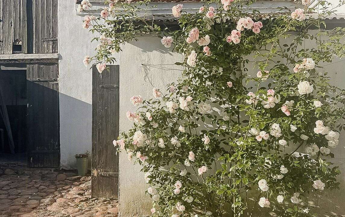 Photo of Patio Balcony in Loderup