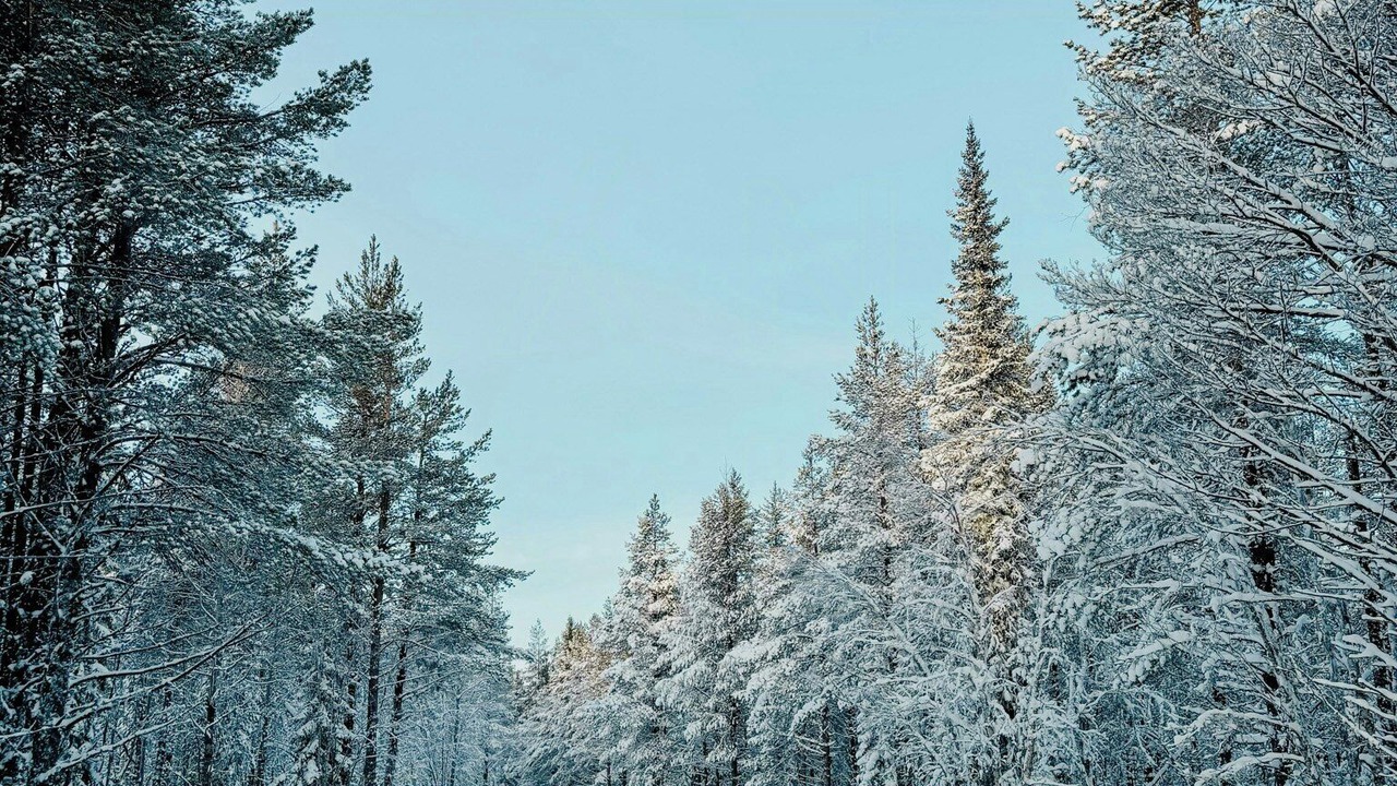 Photo of Others in Vemdalen