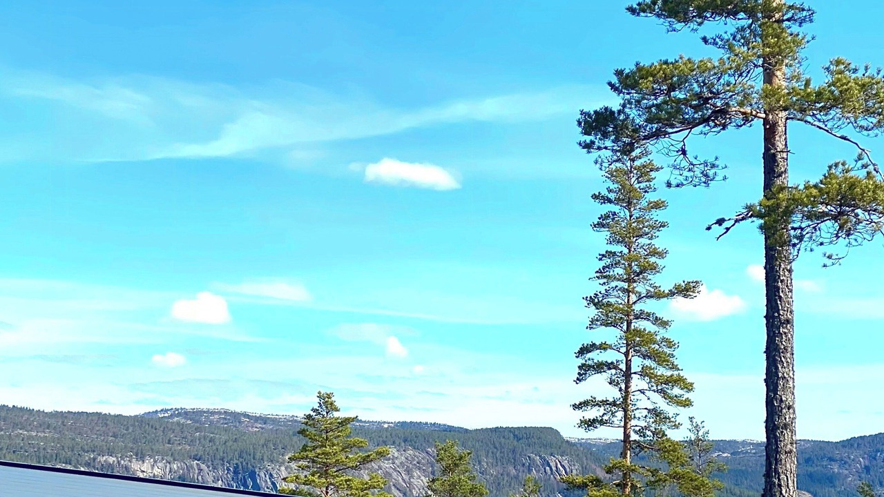 Photo of Outdoor in Treungen