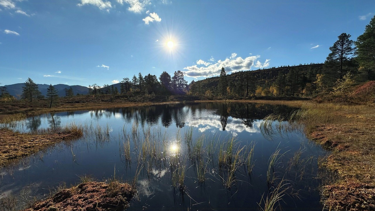 Photo of Others in Stryn