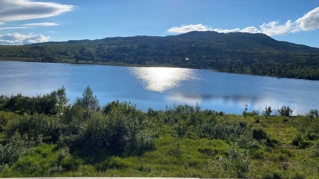 Photo of Others in Orkdal