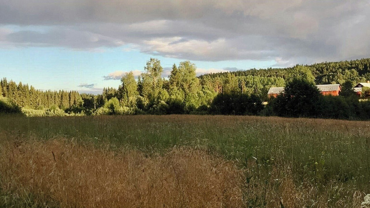 Photo of Others in Arvika
