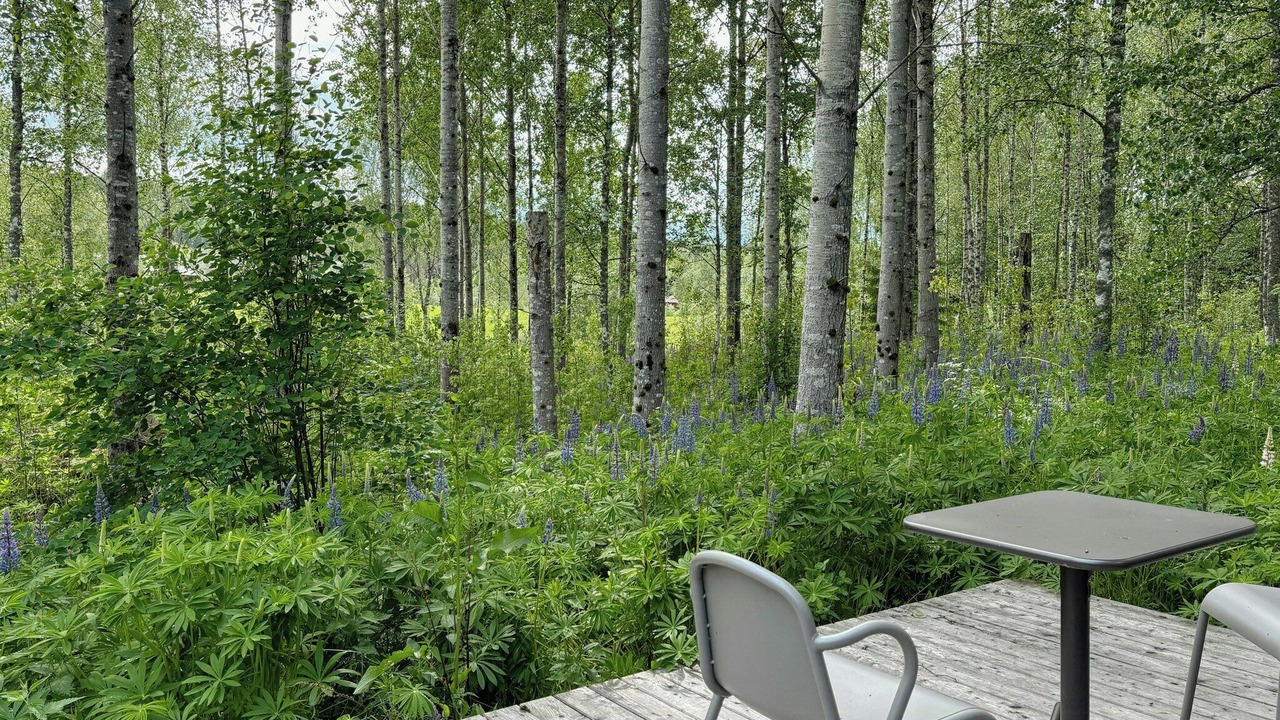 Photo of Outdoor in Arvika