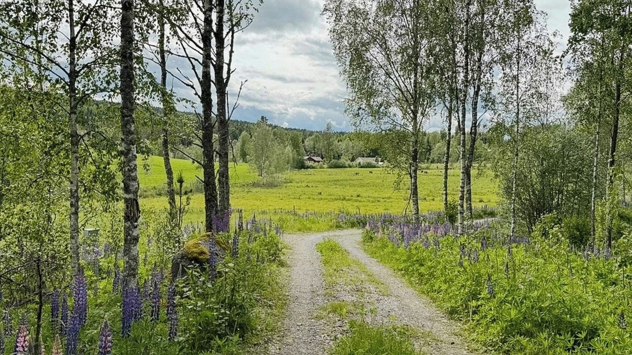 Photo of Others in Arvika