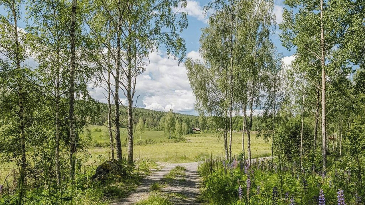 Photo of Others in Arvika