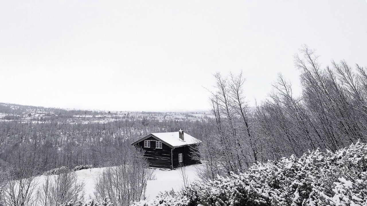 Photo of Outdoor in Al Municipality