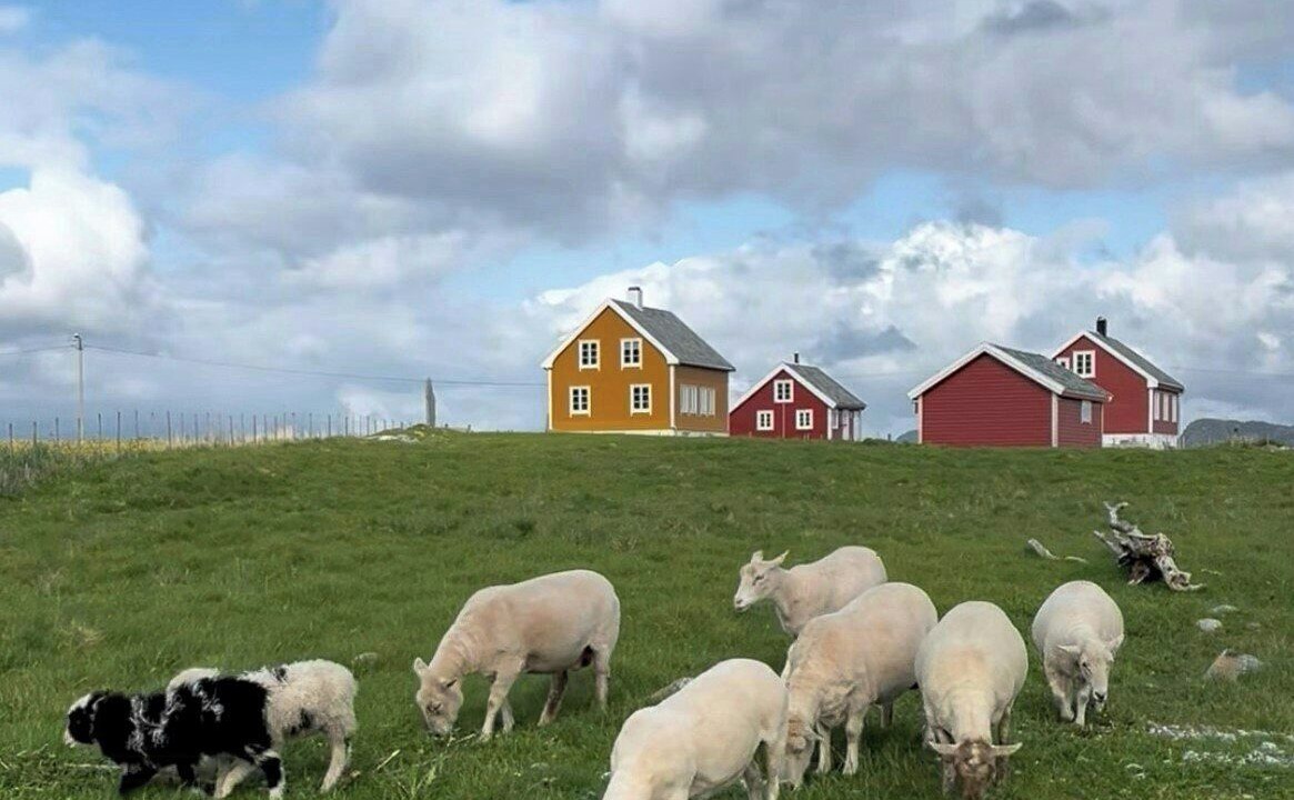 Photo of Others in Godøy