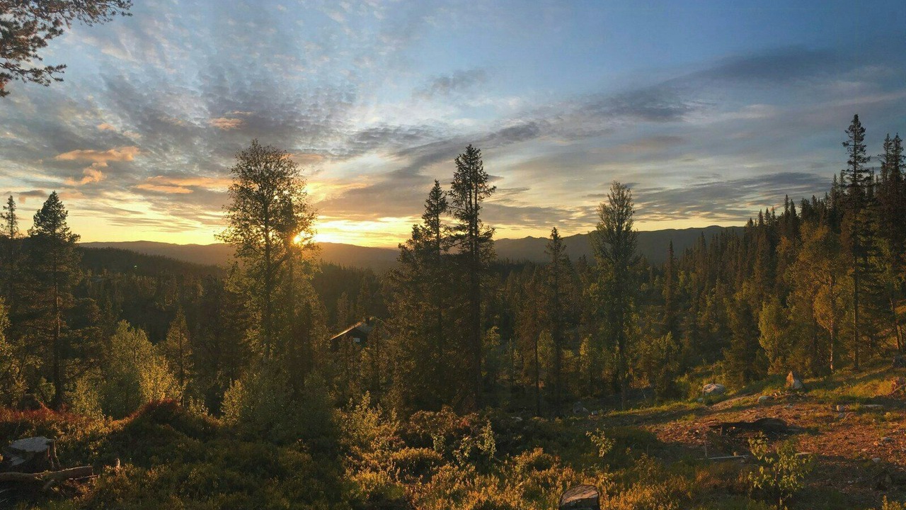 Photo of Others in Nore og Uvdal