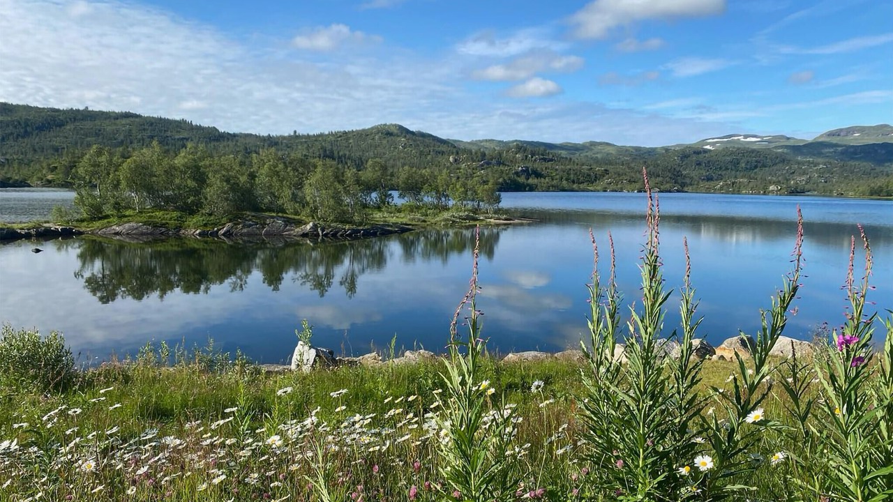 Photo of Others in Vinje