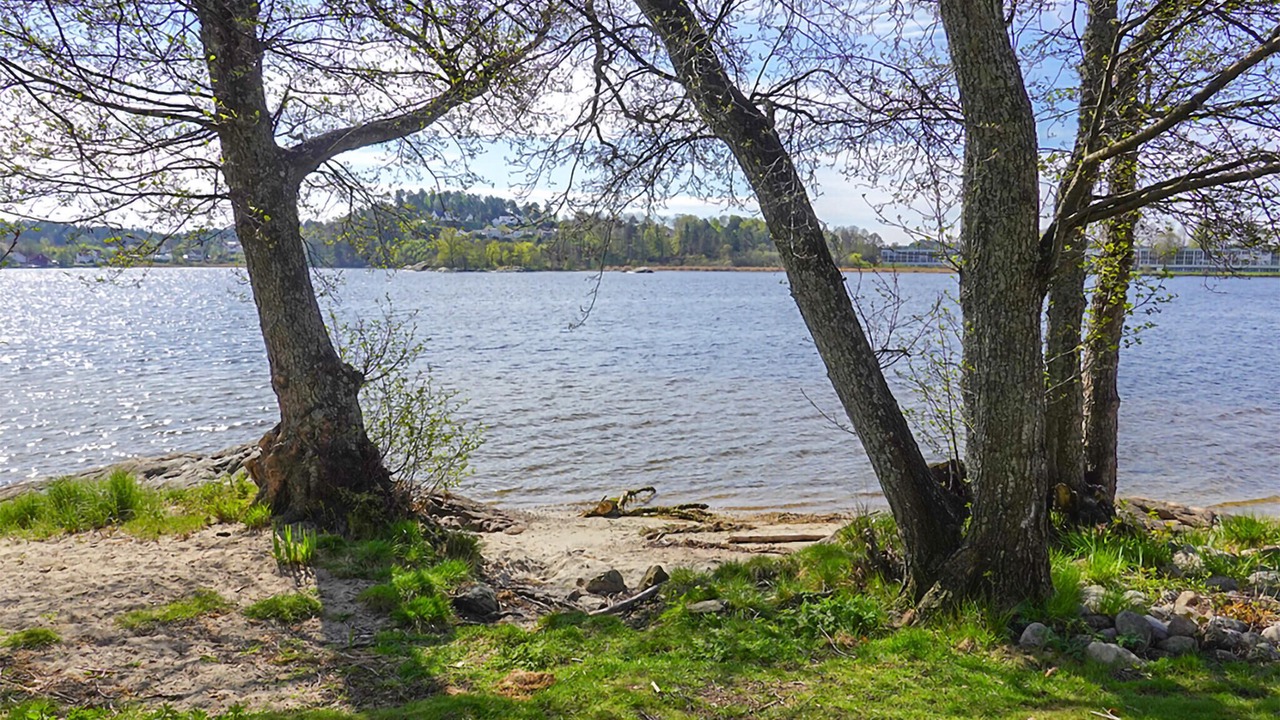 Photo of Others in Arendal