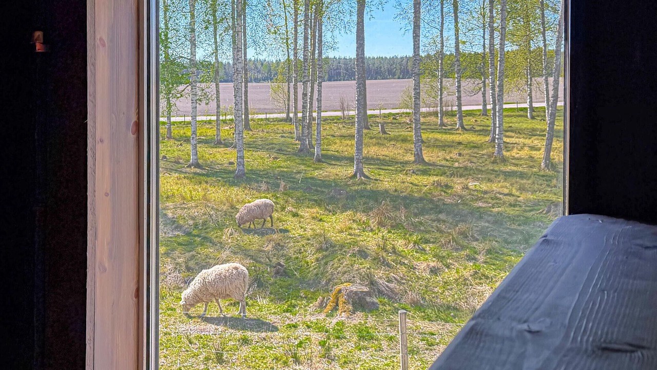 Photo of Bedroom in Valberg