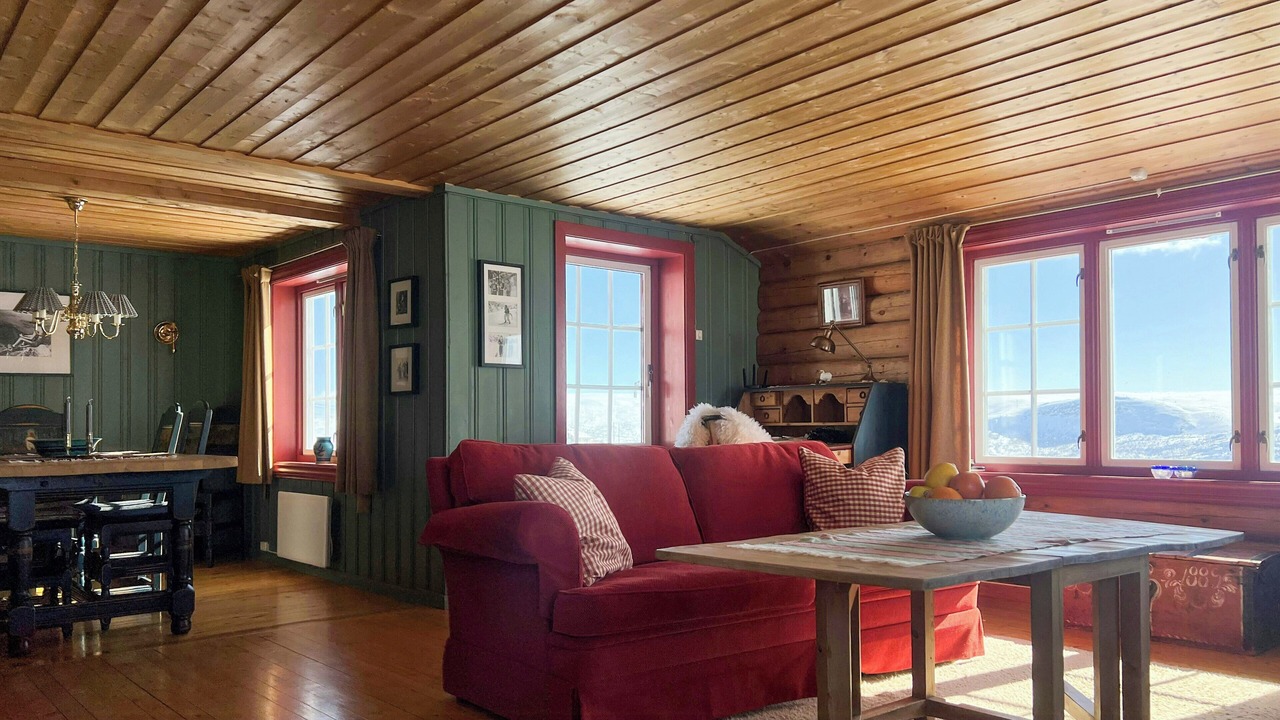 Photo of Livingroom in Ustaoset