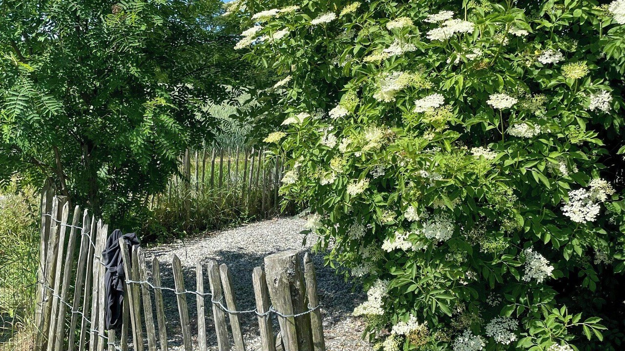 Photo of Outdoor in Skane-Tranas