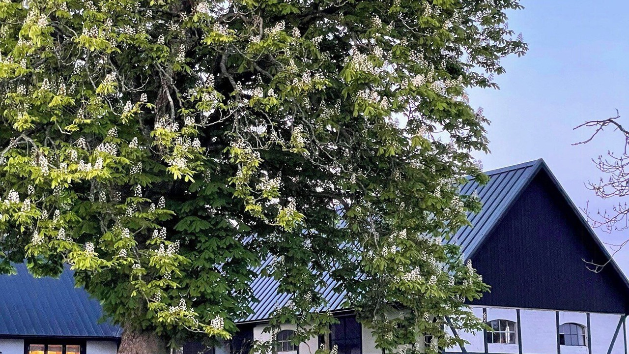 Photo of Outdoor in Skane-Tranas