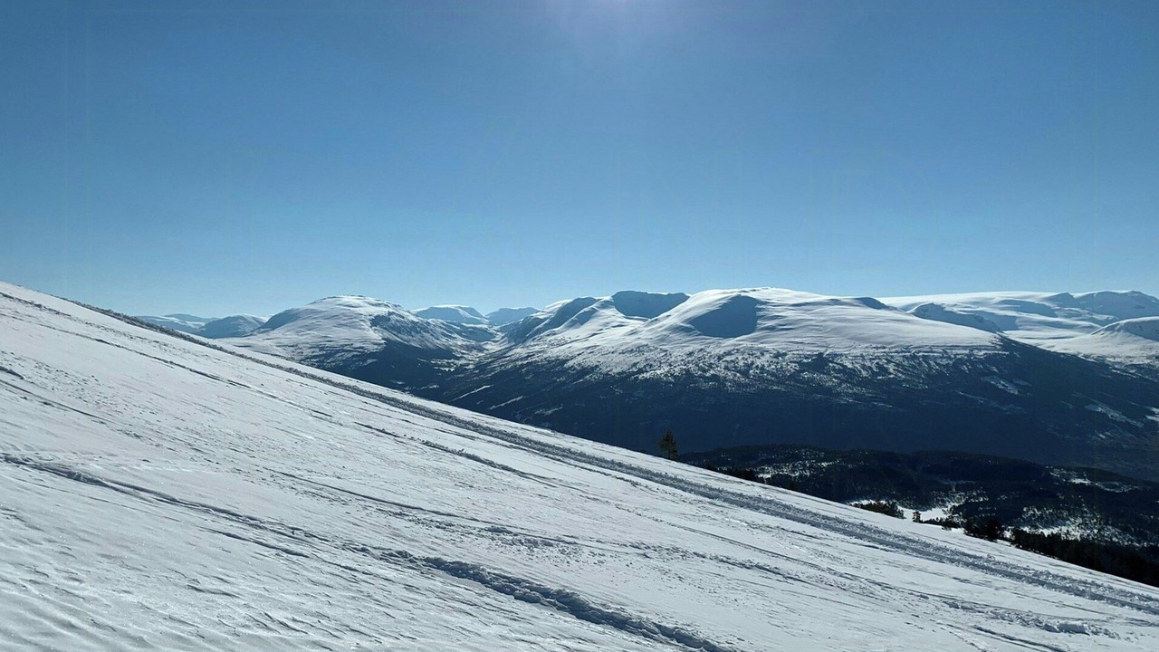 Photo of Others in Solberg