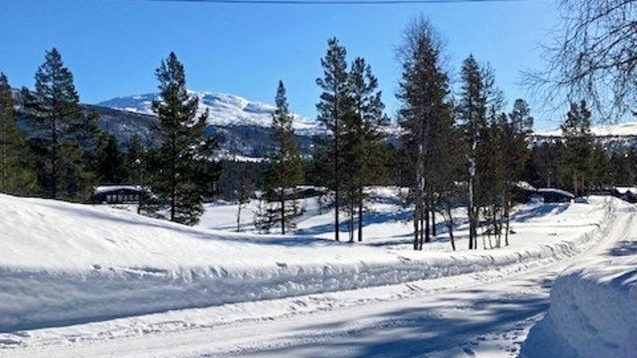 Photo of Others in Bykle