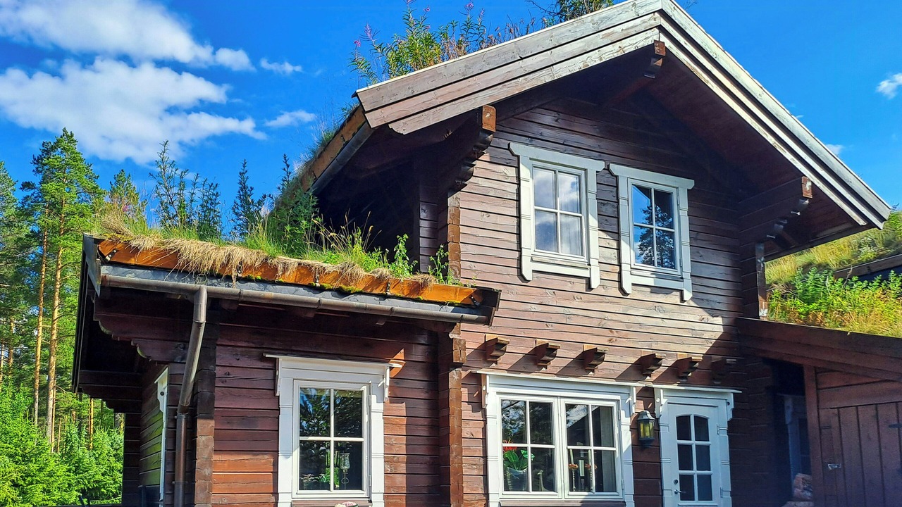 Photo of Outdoor in Kviteseid