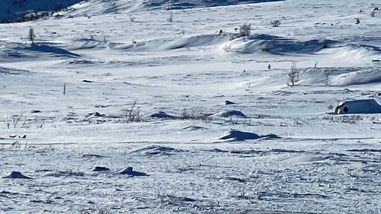 Photo of Others in Nore og Uvdal