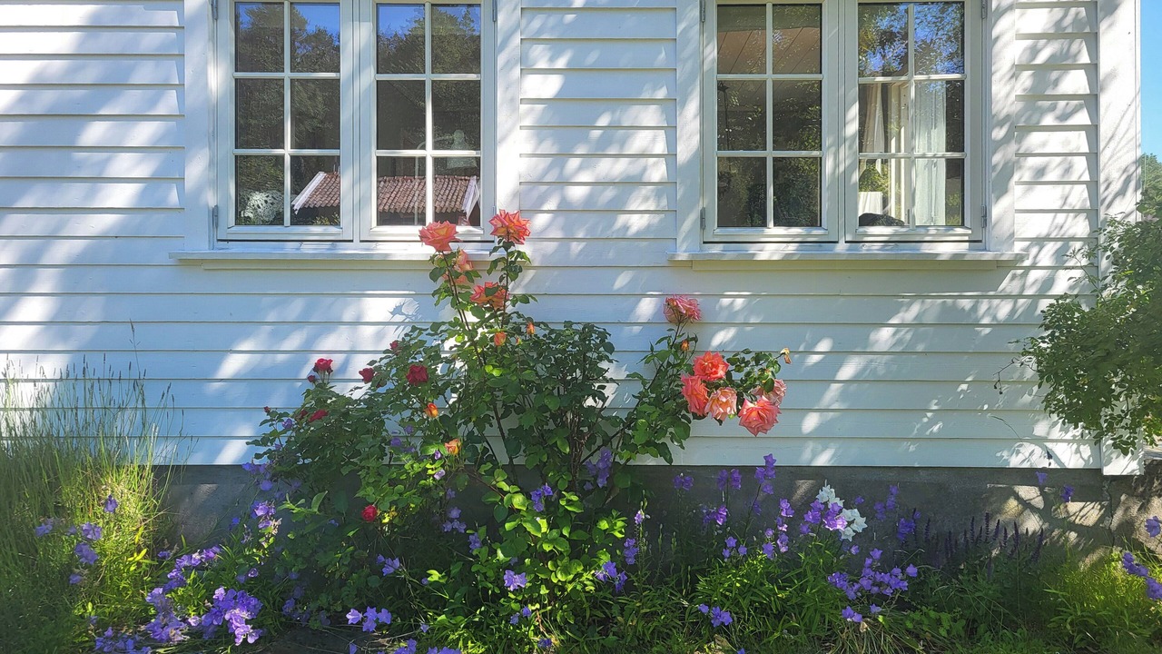 Photo of Outdoor in Kvase