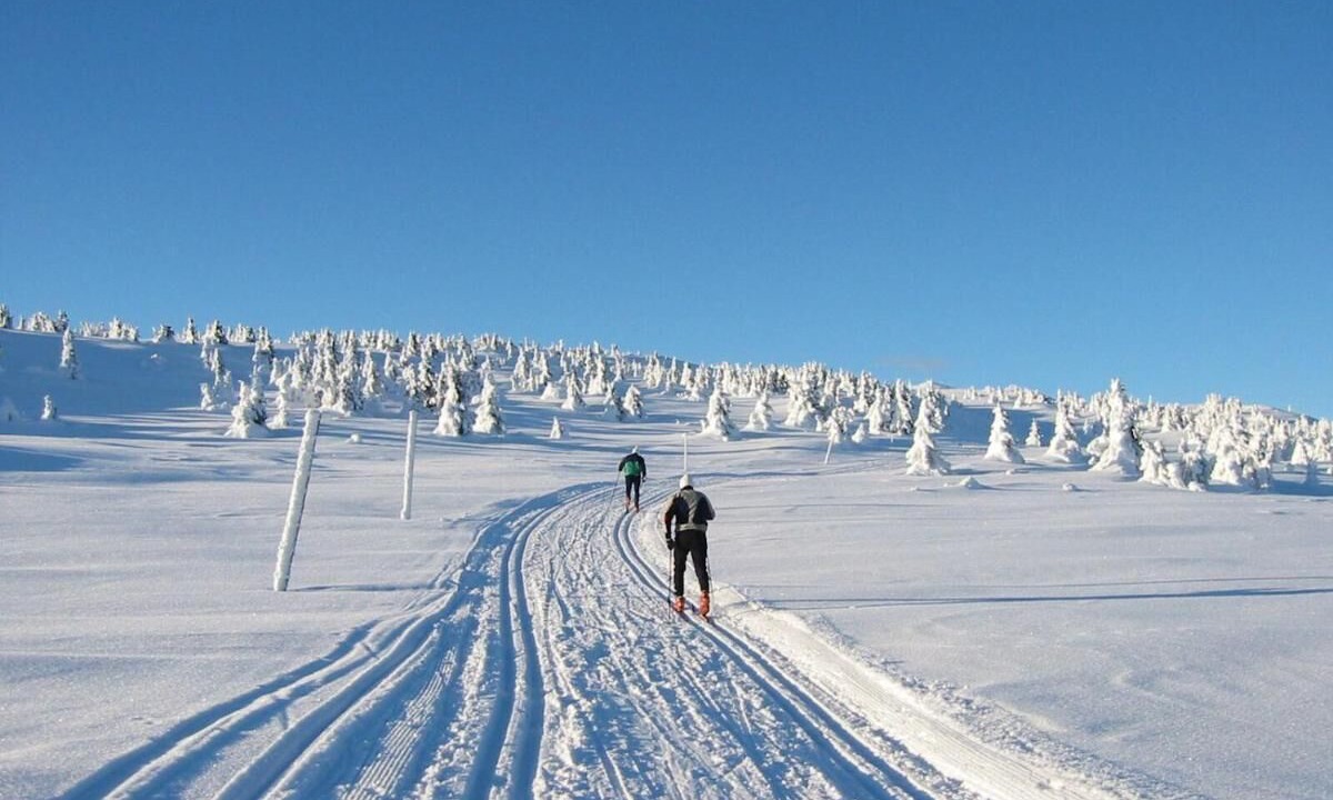 Photo of Others in Hafjell