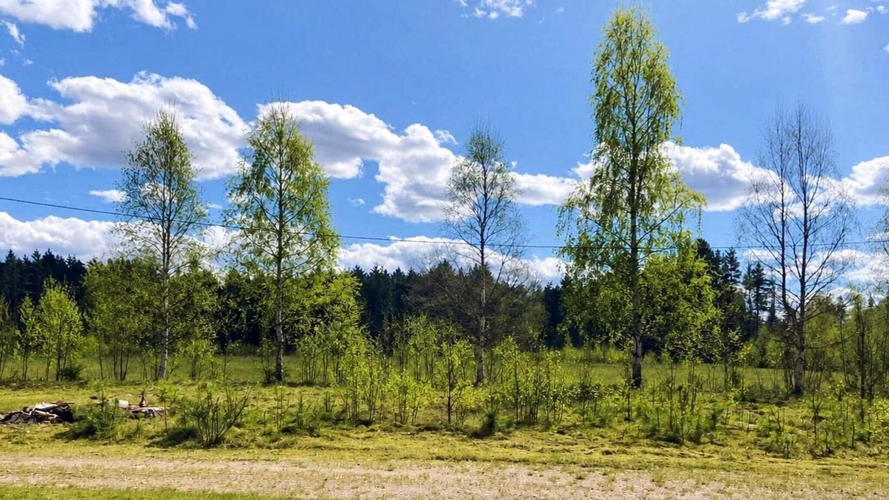 Photo of Outdoor in Amnerud