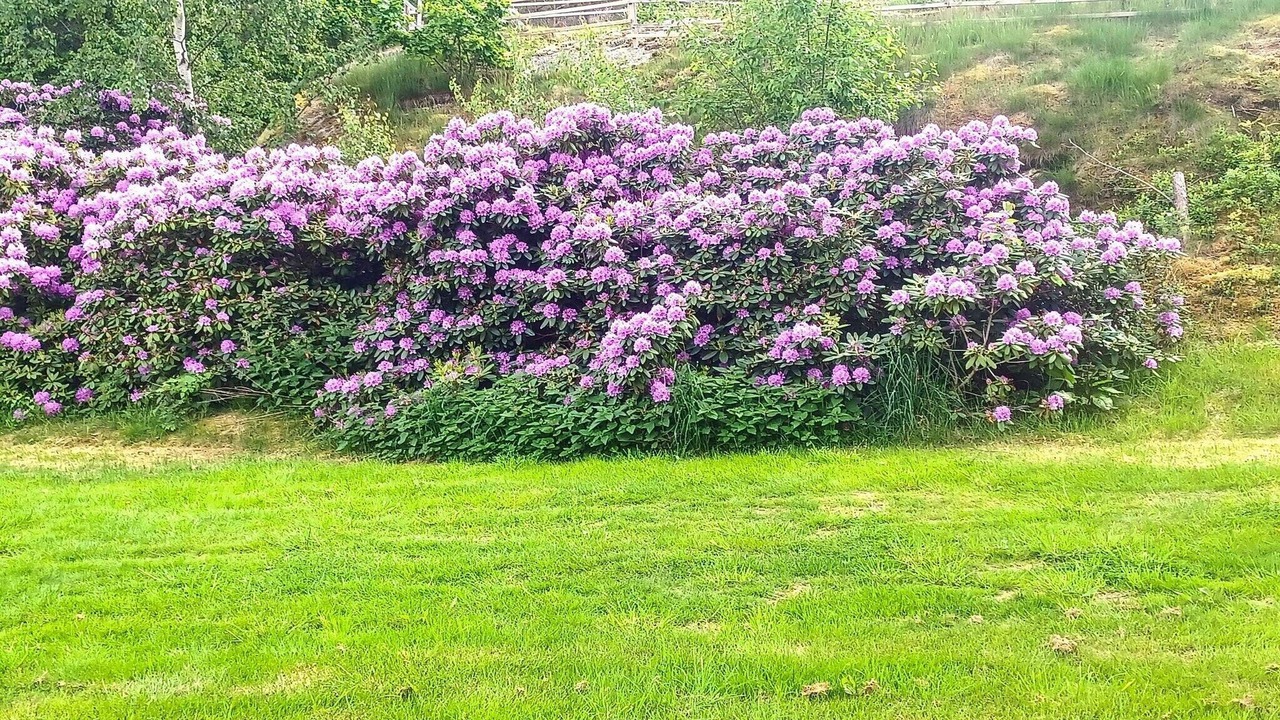 Photo of Outdoor in Musko